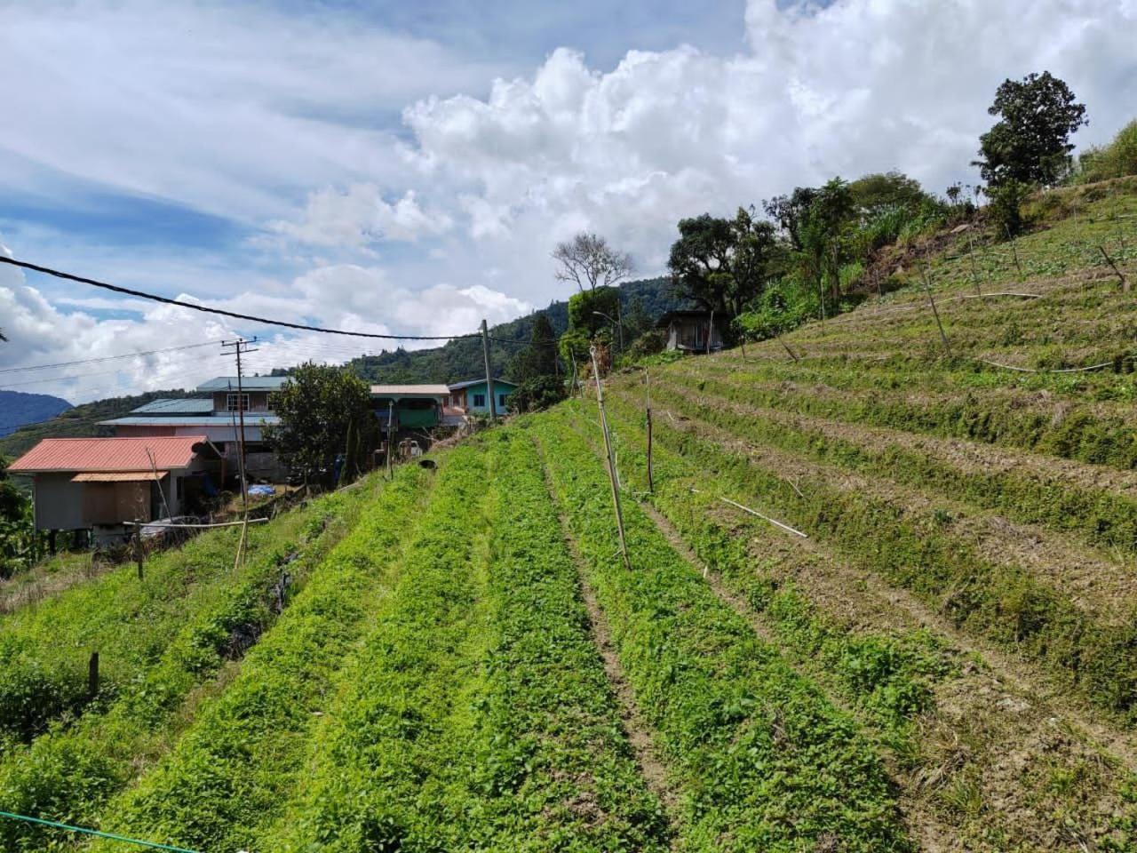 Kundasang Mount Garden Exteriér fotografie